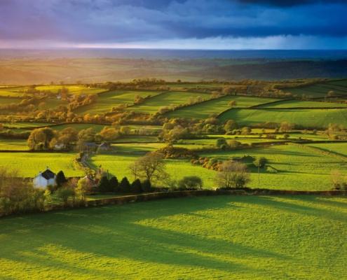 Aerial view of green countryside