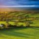 Aerial view of green countryside