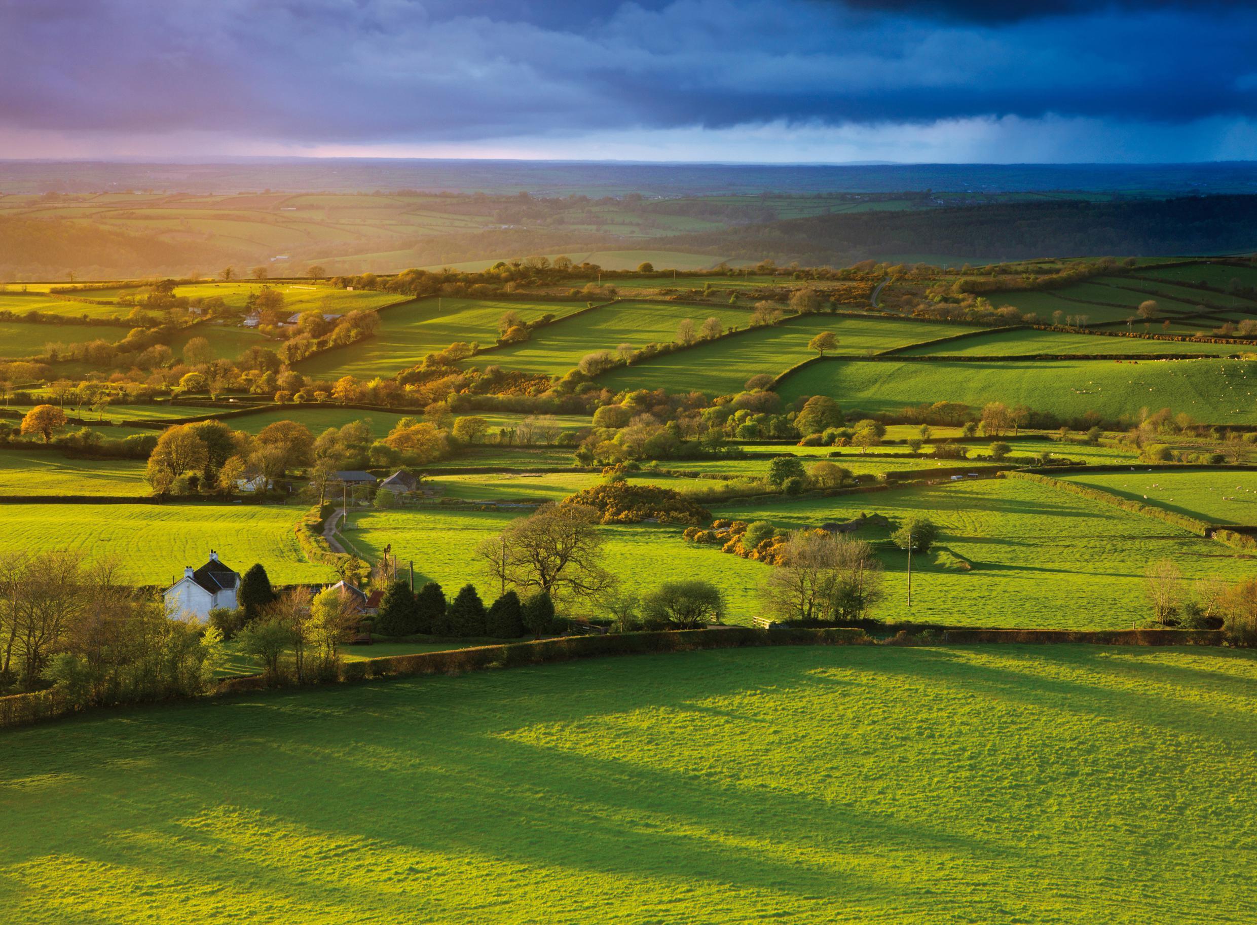 Aerial view of green countryside